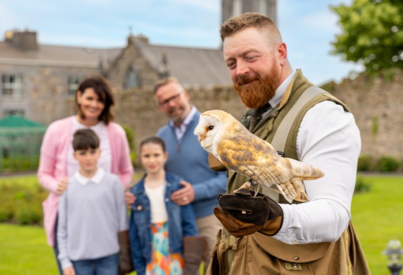 Falconry at Glenlo Abbey